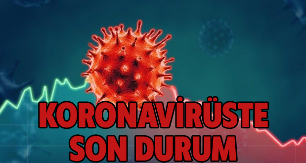 Koronavirüste Son Durum